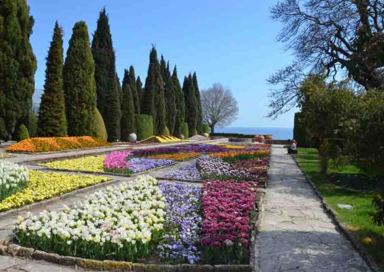 Ботаническа градина в Балчик – приказно разнообразие от пъстроцветни растения  