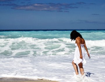 „Албена” АД ще стопанисва плаж „Моби Дик”