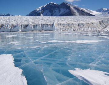 Ледникът Добруджа, полуостровът Албена, заливът Каварна, върховете Тервел и Шабла са …в Антарктика