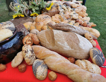 Фестивал на хляба и изложение на занаяти ще се състоят в Добрич