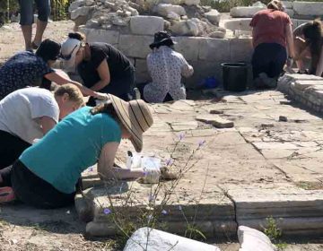 Доброволци от цял свят консервират базилика в крепостта Палматис край Тервел