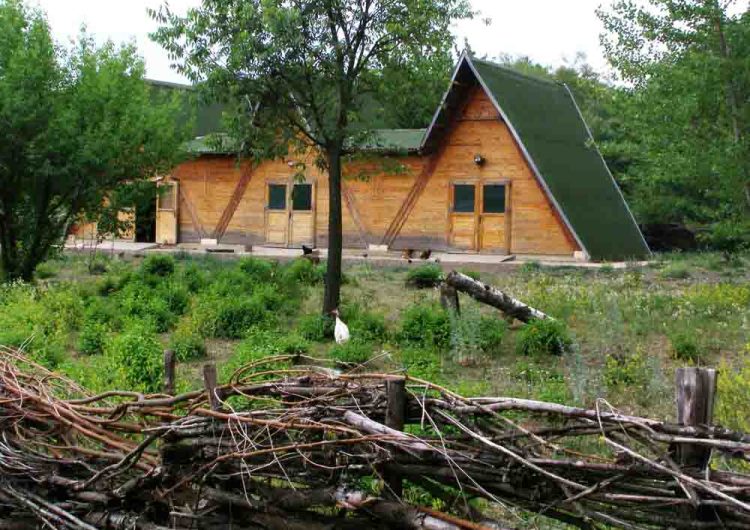 Център за защита на природата и животните в Добрич – уникално природно кътче