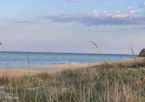 Възстановяват по проект крайбрежните местообитания в община Шабла