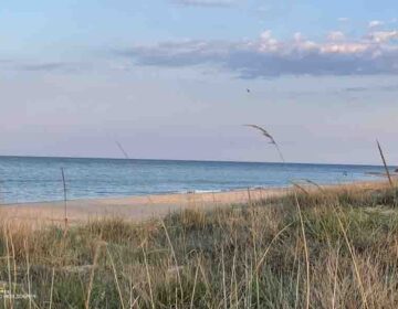 Възстановяват по проект крайбрежните местообитания в община Шабла